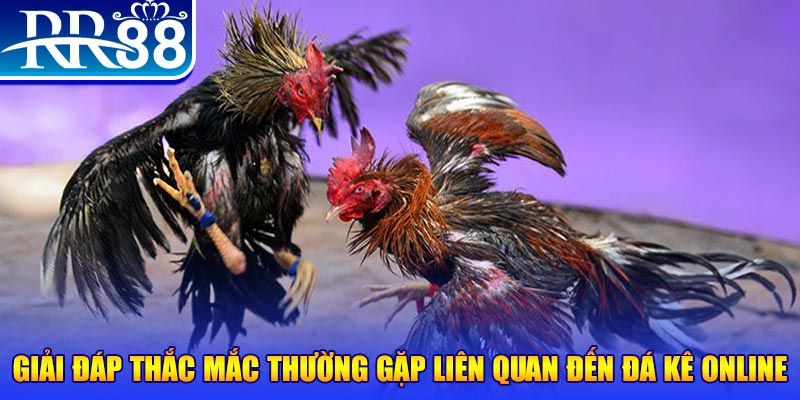 đăng nhập phỏm tặng tiền