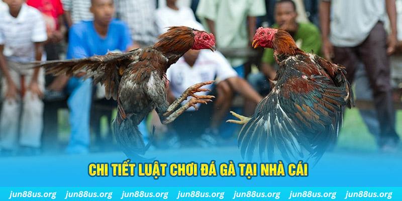 ca xeng đăng nhập sòng bạc uy tín